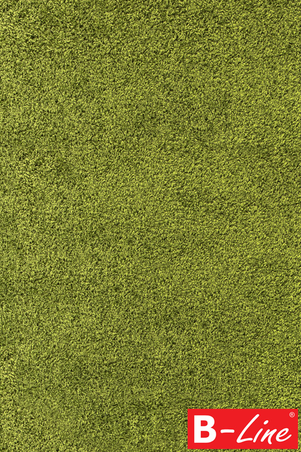 Kusový koberec Dream Shaggy 4000 Green