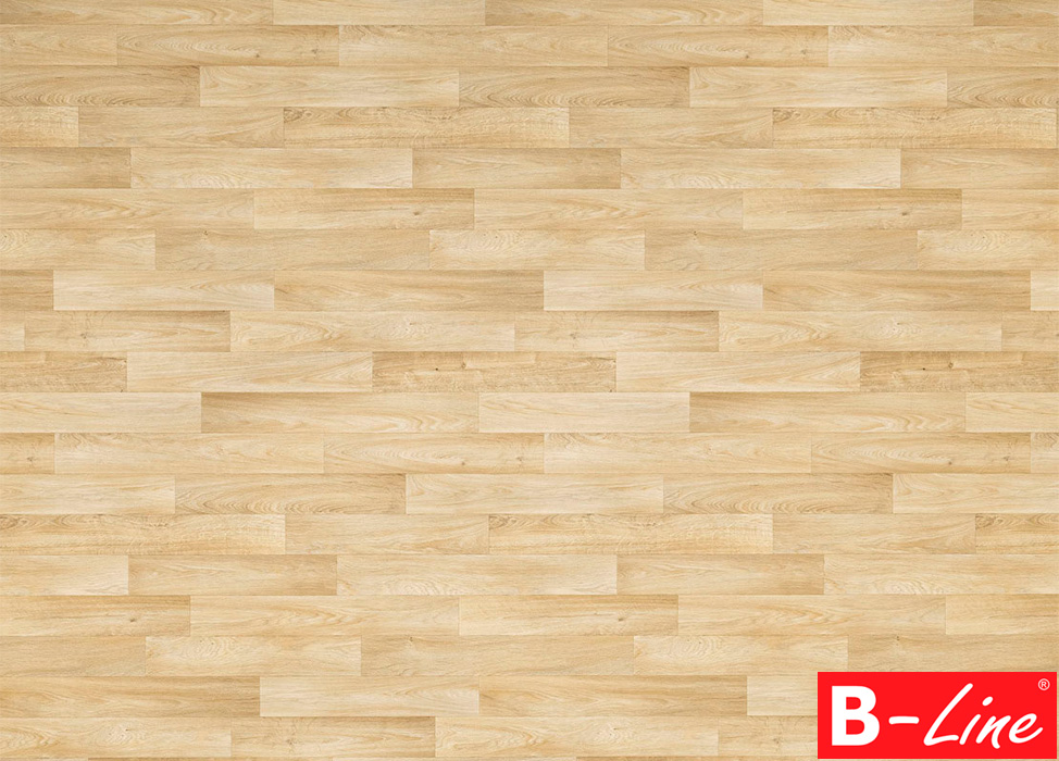 PVC Studio Casa Camargue 551