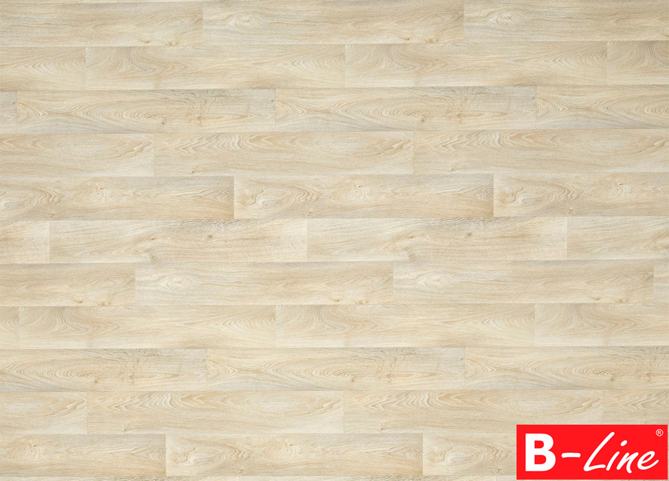 PVC Studio Casa Toronto 552