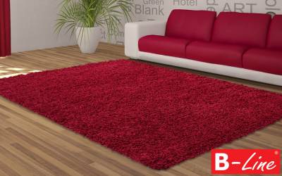 Kusový koberec Dream Shaggy 4000 Red